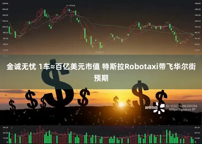金诚无忧 1车≈百亿美元市值 特斯拉Robotaxi带飞华尔街预期