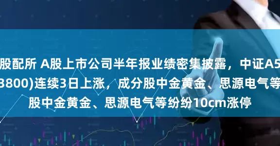 股配所 A股上市公司半年报业绩密集披露，中证A500ETF龙头(563800)连续3日上涨，成分股中金黄金、思源电气等纷纷10cm涨停