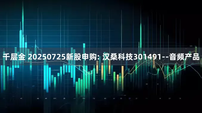 千层金 20250725新股申购: 汉桑科技301491--音频产品