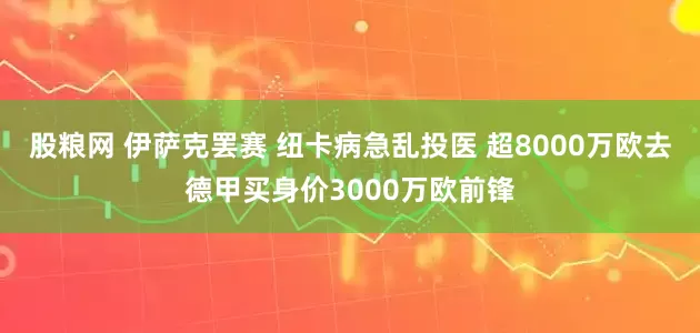 股粮网 伊萨克罢赛 纽卡病急乱投医 超8000万欧去德甲买身价3000万欧前锋