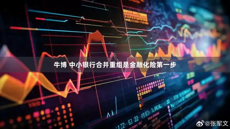 牛博 中小银行合并重组是金融化险第一步